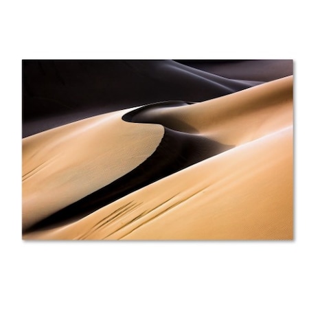 Mohammadreza Momeni 'Curves In The Sand' Canvas Art,12x19